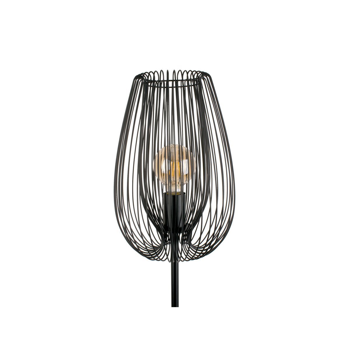 Lucid Vloerlamp - Moderne Designlamp met Glazen Kap en IJzeren Zwarte Basis